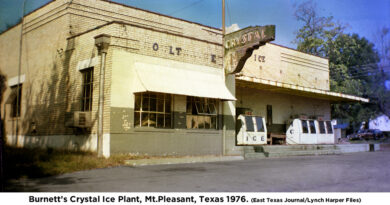 Crystal Ice Plant