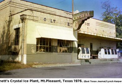 Crystal Ice Plant