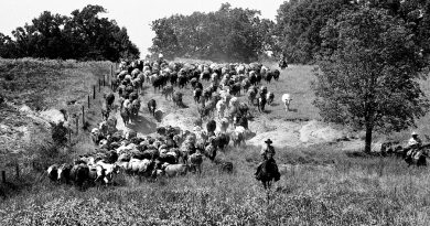 October 1993: Fall roundup gets foggy start